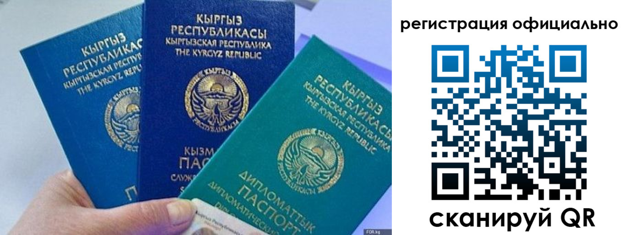 прописка в Гвардейске